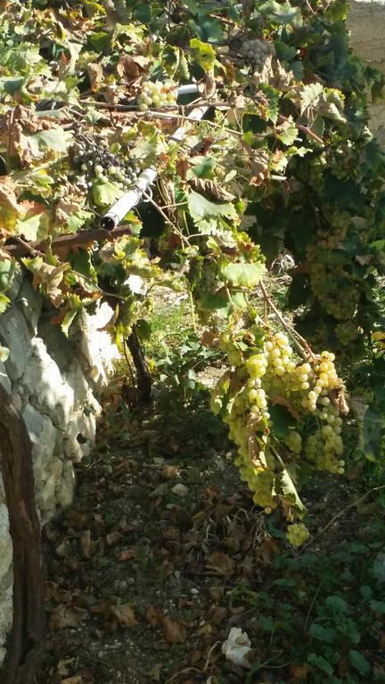 Sole E Fiori Di Sicilia Lejlighed Valderice Eksteriør billede