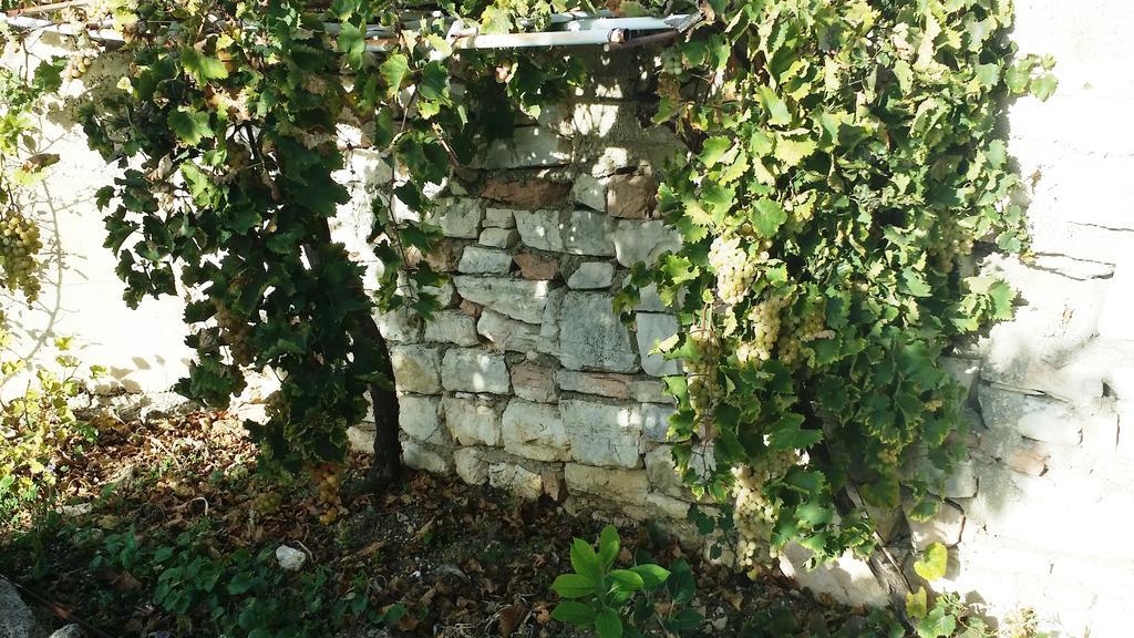 Sole E Fiori Di Sicilia Lejlighed Valderice Eksteriør billede