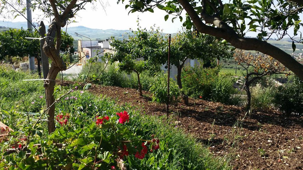 Sole E Fiori Di Sicilia Lejlighed Valderice Eksteriør billede